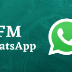 FM WhatsApp logo with plain background